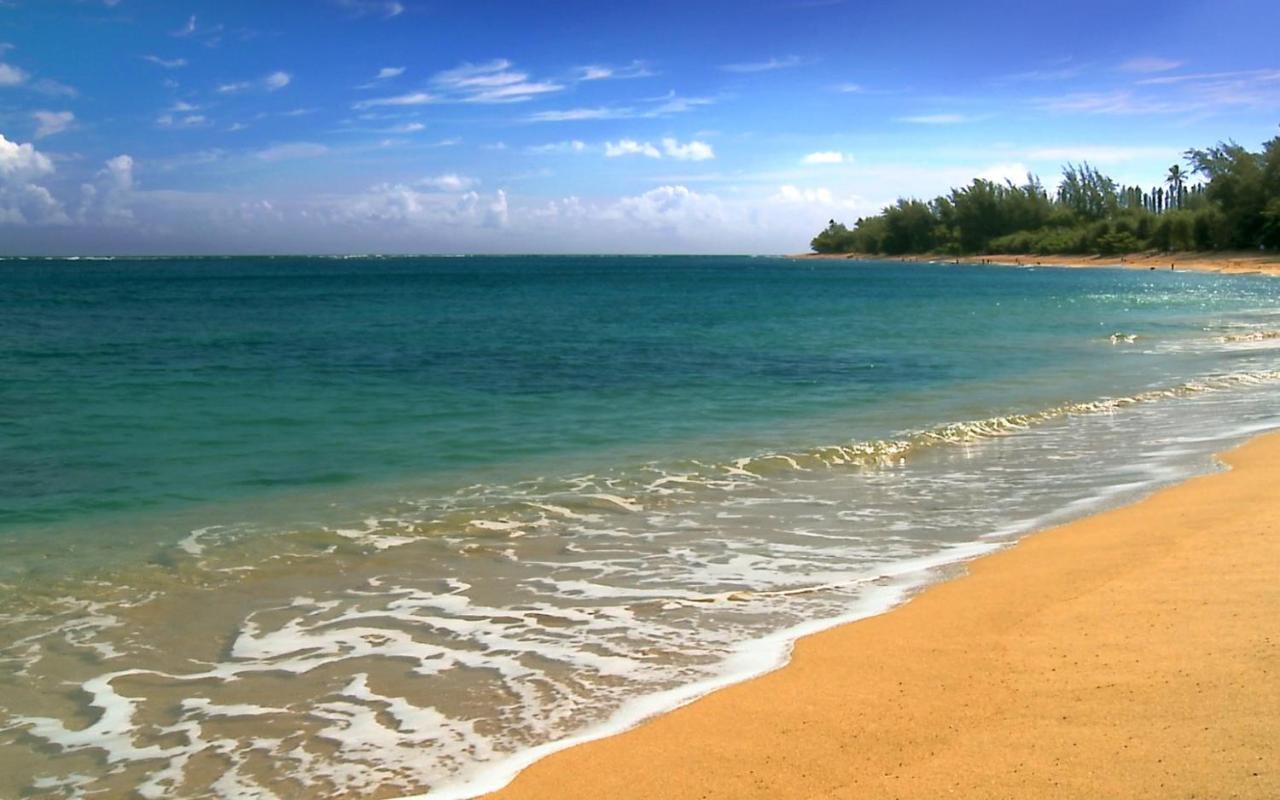 Wonderful Maui Vista-Kihei Kai Nani Beach Condos Dış mekan fotoğraf