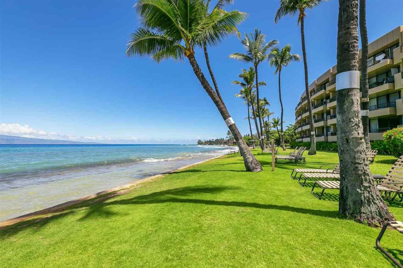 Wonderful Maui Vista-Kihei Kai Nani Beach Condos Dış mekan fotoğraf